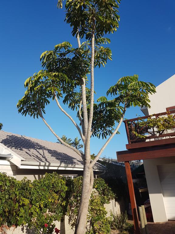Appartement Founders Keepers - Leisure Isle à Knysna Extérieur photo